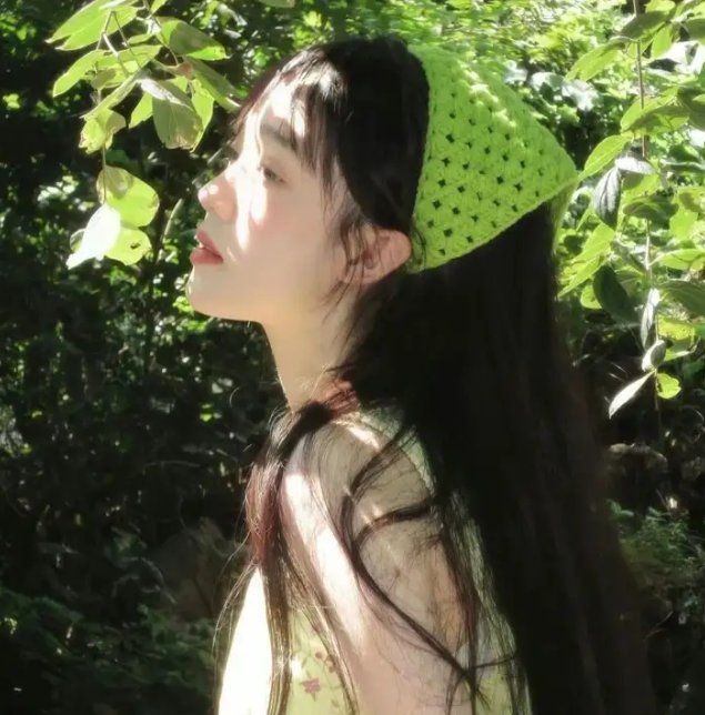 桦木林